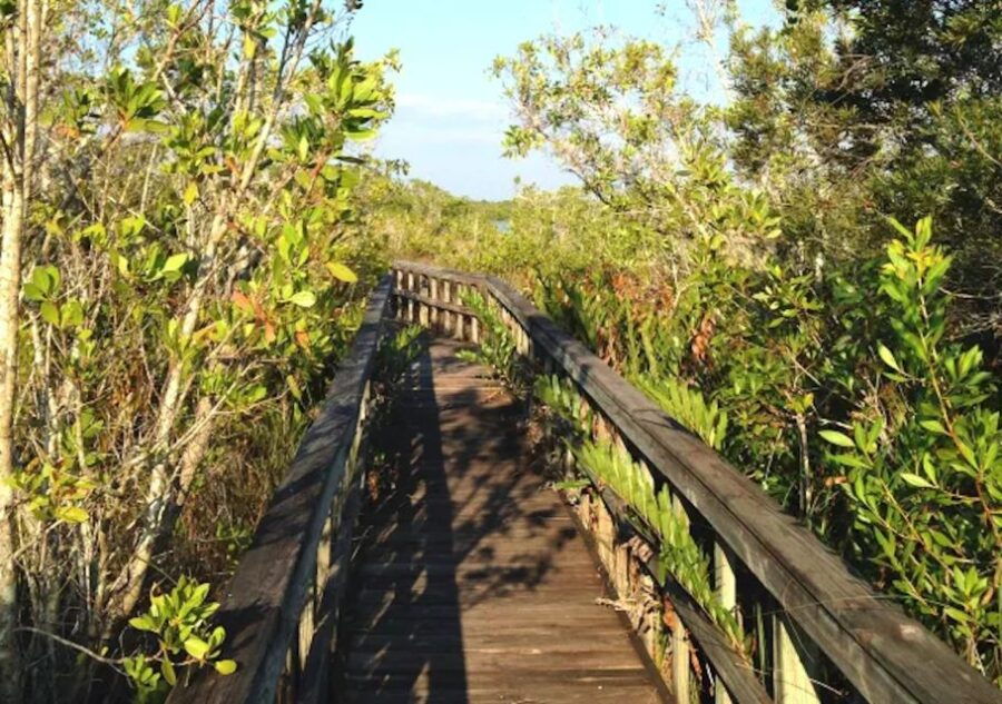 Marco Island, FL: Nature and History Bicycle Tour