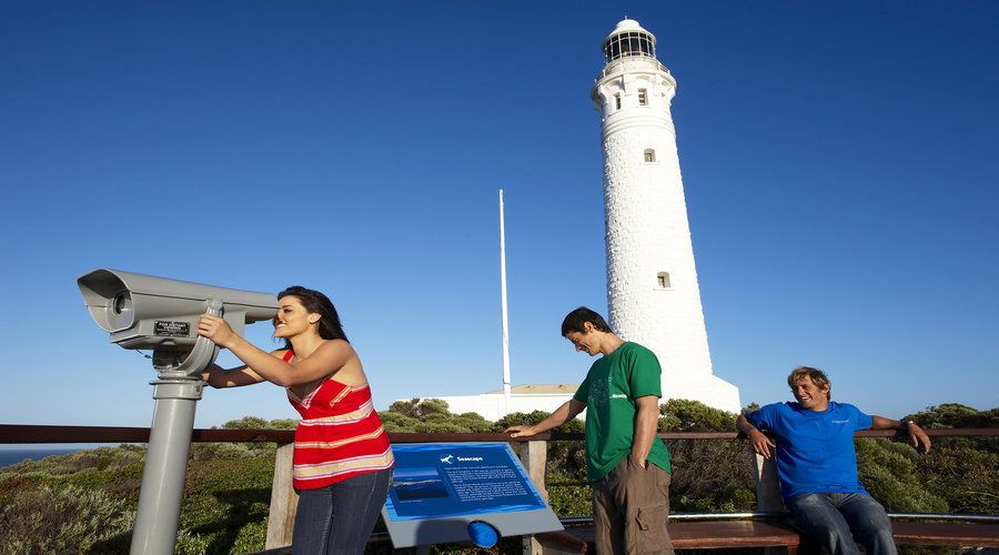 Margaret River and Busselton Jetty: Day Trip From Perth - Good To Know