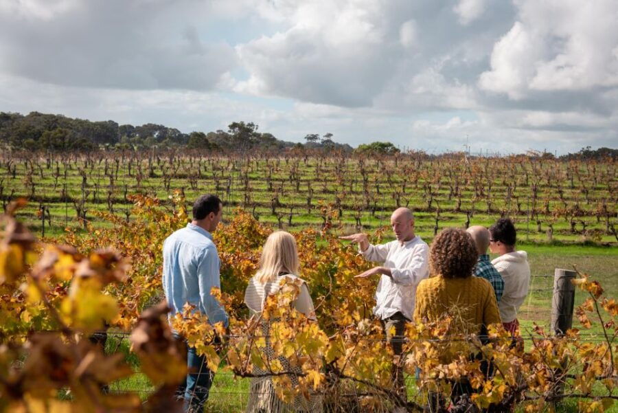 Margaret River: Food and Wine Tour With Tastings and Lunch - Good To Know