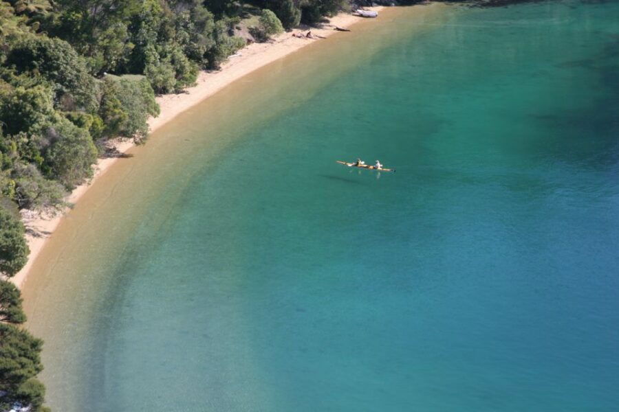 Marlborough Sounds Guided Kayak and Freedom Walk Tour - Good To Know