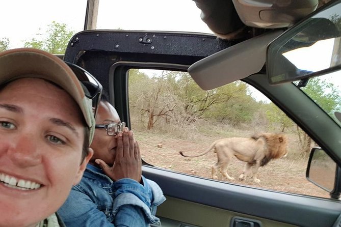 Marloth Park Small-Group Full-Day Kruger Safari - Mpumalanga