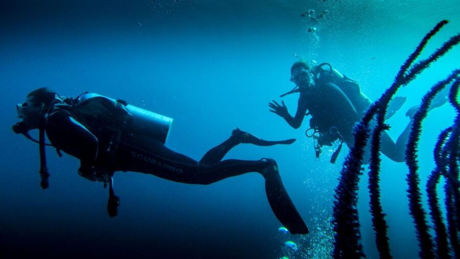 Marmaris: Scuba Diving Experience With 2 Dives and Lunch - Good To Know
