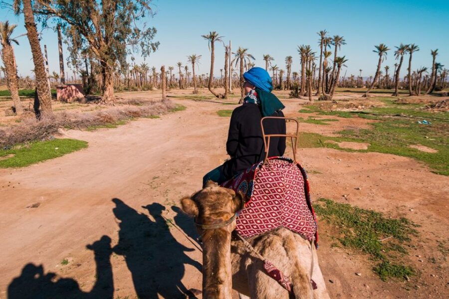 Marrakech: 2-Hour Quad Bike & Camel Ride in Palmeraie - Good To Know