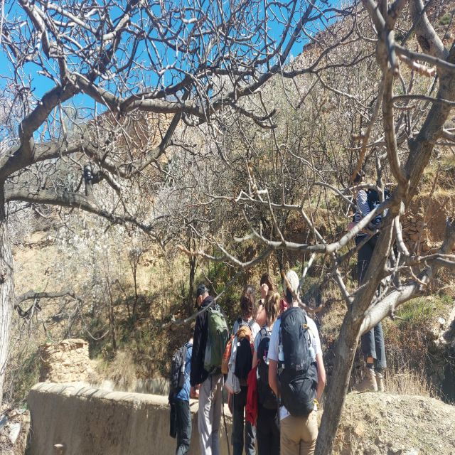 Marrakech: 3 Day High Atlas Mountains and Three Valleys Trek - Good To Know
