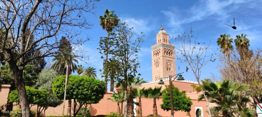 Marrakech 3-Hour Walking Tour