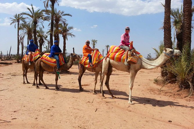 Marrakech Activities: Camel Ride Tour Marrakech - Good To Know