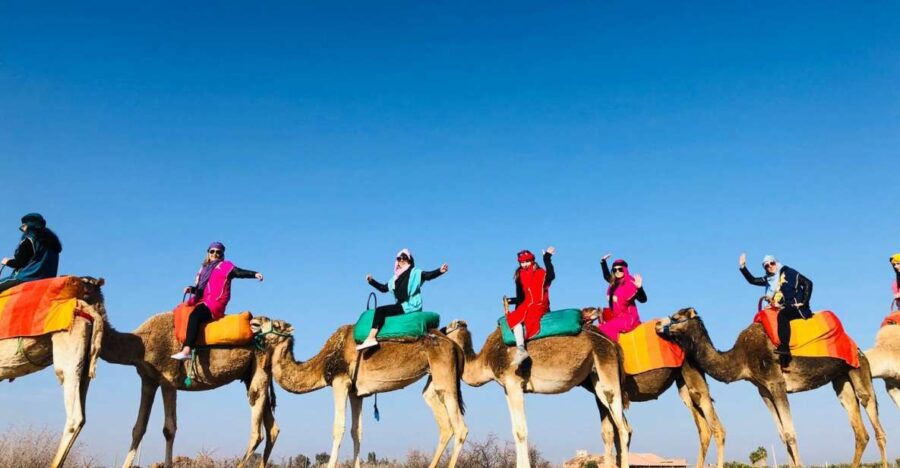 Marrakech: Agafay Desert and Atlas Mountains Tour - Itinerary Details