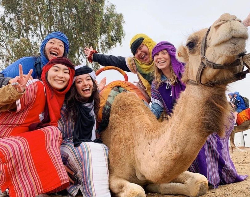 Marrakech: Agafay Desert, Atlas Mountains & Waterfalls Tour - Good To Know