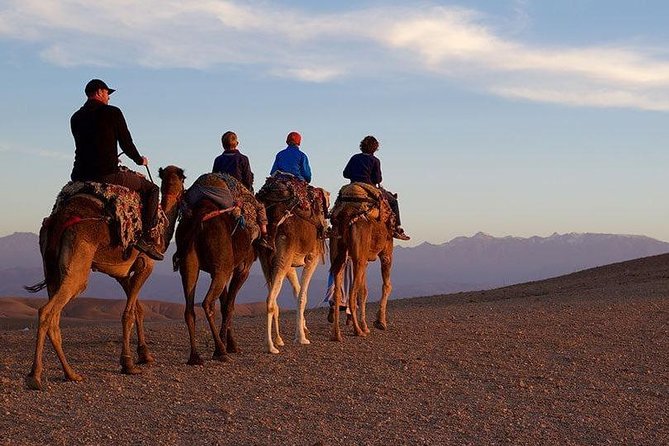 Marrakech : Agafay Desert Evening Trip Under the Stars - Good To Know