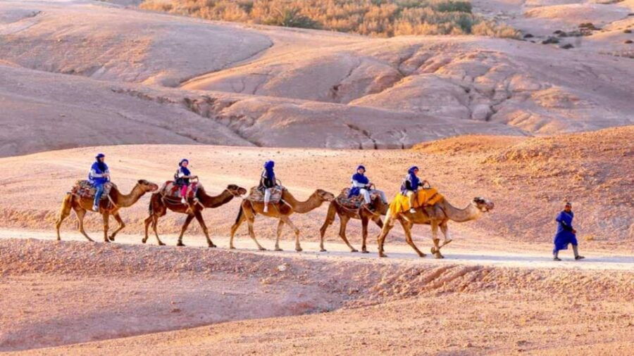 Marrakech : Atlas Mountains & Camel Ride in Agafay Desert
