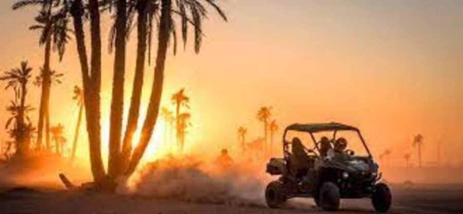 Marrakech: Buggy Desert Drive In the Palm Groves - Good To Know