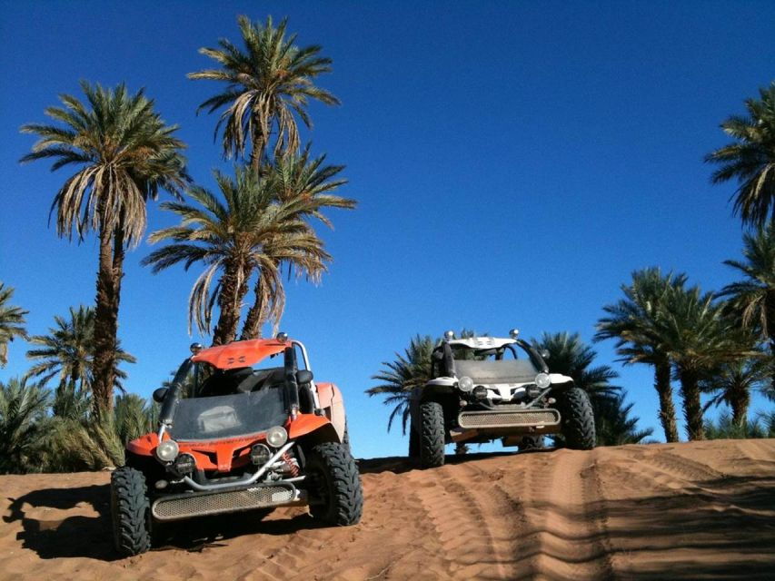 Marrakech Buggy Ride in the Palm Groves - Good To Know