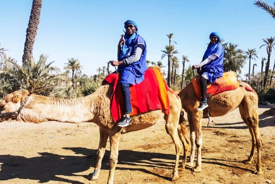 Marrakech: Camel Ride in the Oasis Palmeraie - Good To Know