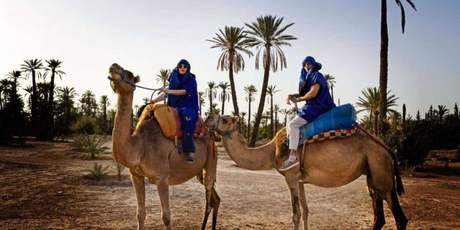 Marrakech: Camel Ride in the Palm Grove - Good To Know