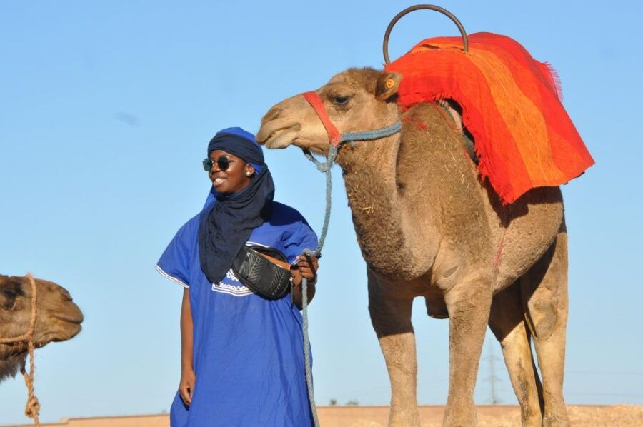 Marrakech : Camel Ride in the Palm Grove With Transport - Experience Features