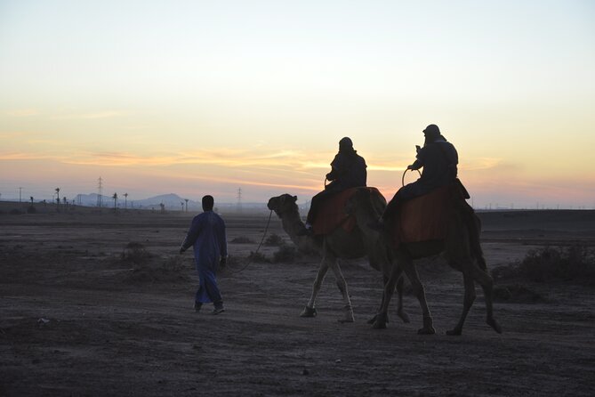 Marrakech: Camel Ride in the Palm Grove - Good To Know