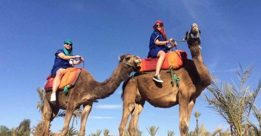 Marrakech: Camel Ride in the Palmeraie - Good To Know