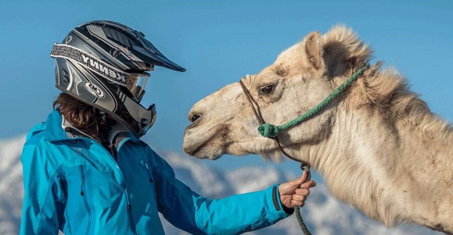 Marrakech Camel Ride & Quad Bike in Palmeraie - Good To Know