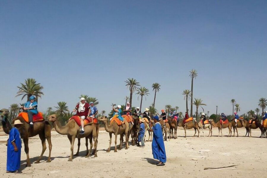 Marrakech: Camel Trek - Good To Know