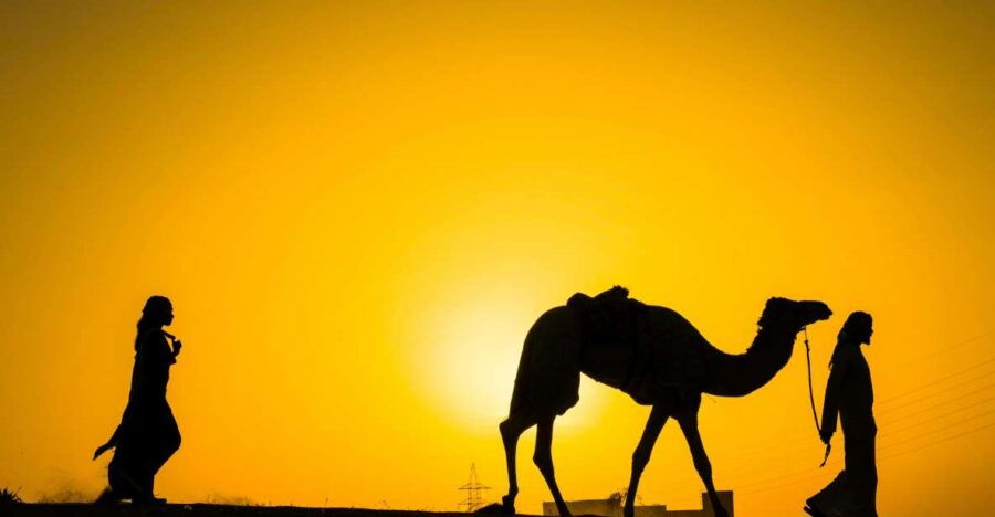 Marrakech: Camels & Quads With Sunset and Dreamy Dinner - Good To Know