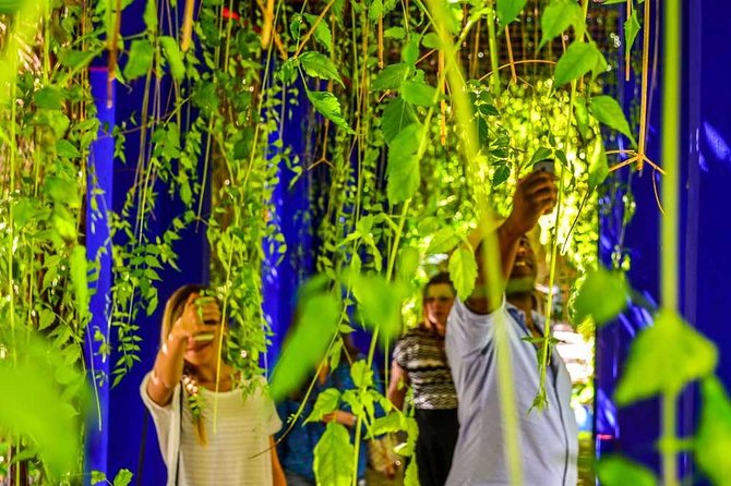 Marrakech City Tour: Half-Day Guided Tour - Good To Know