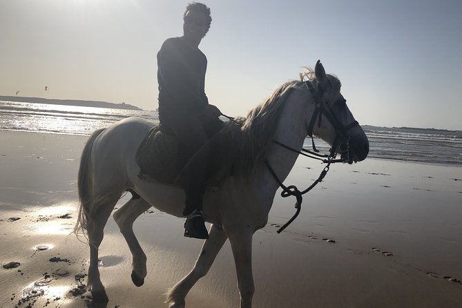 Marrakech Day Trip to Essaouira - Horseback, Camel Ride, ATV on the Beach - Good To Know