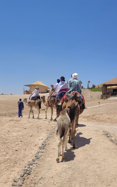 Marrakech Desert: Camel Riding, Dinner With Music & Show - Good To Know