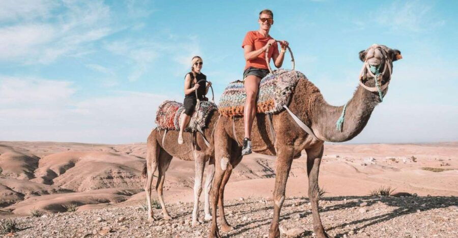 Marrakech Desert Tour With Dinner Show and Camel Ride - Good To Know