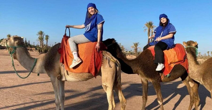 Marrakech : Exciting Camel Ride in Palmeraie - Good To Know