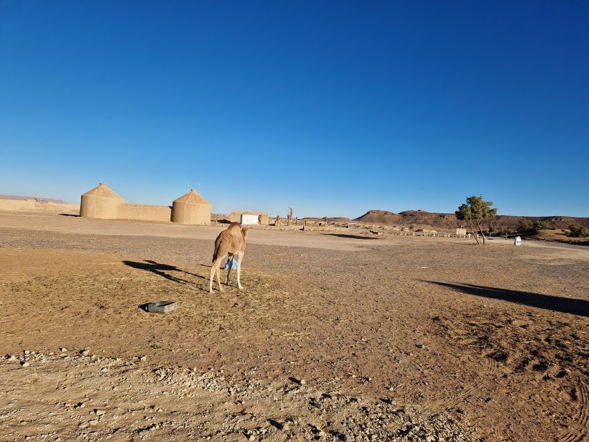 Marrakech : Excursions in All Areas Around - Good To Know