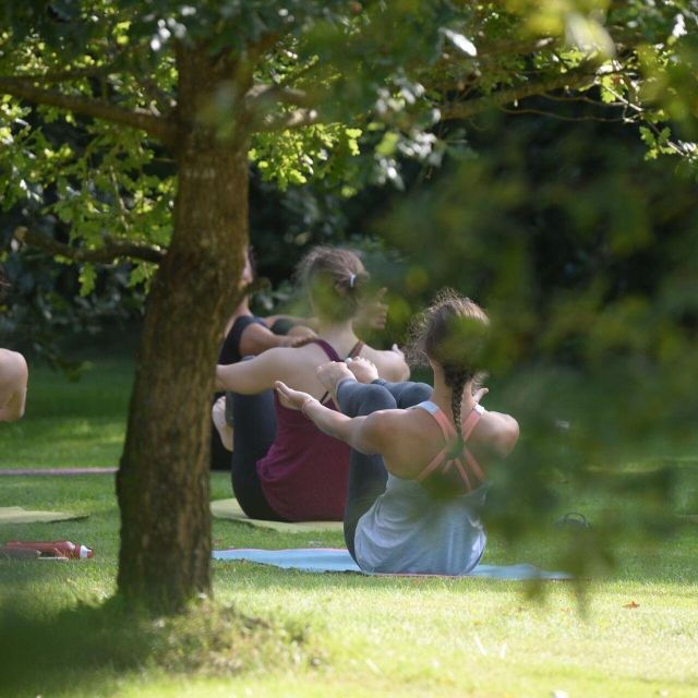 Marrakech: Experience Yoga in Nature's Haven - Detox Day - Good To Know