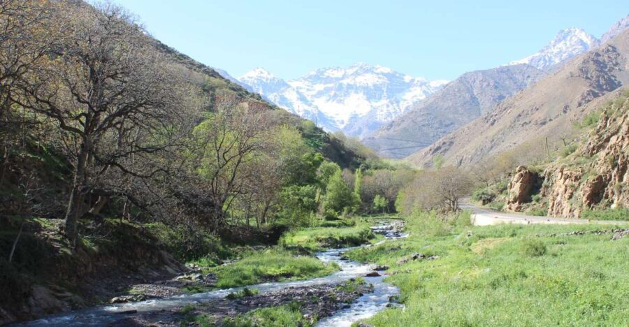 Marrakech: High Atlas Mountains and Agafay Desert Day Tour