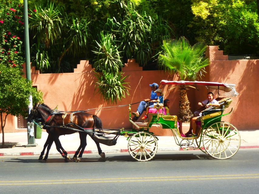Marrakech: Horse-Drawn Carriage Tour - Good To Know