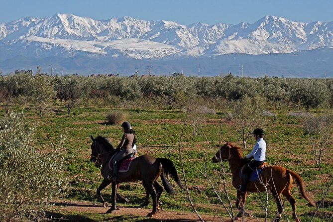 Marrakech Horse Riding - Good To Know
