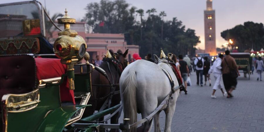 Marrakech: Majorelle & Menara Gardens Tour & Carriage Ride - Good To Know