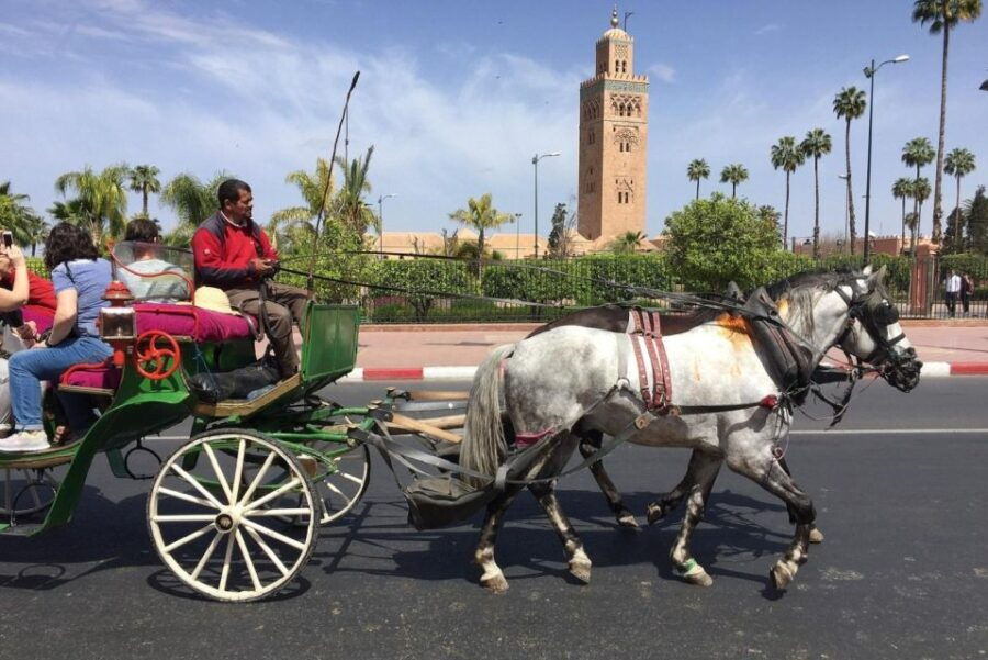Marrakech: Majorelle & Menara Gardens Tour & Carriage Ride - Good To Know