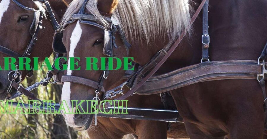 Marrakech: Majorelle & Menara Gardens Tour & Carriage Ride - Good To Know