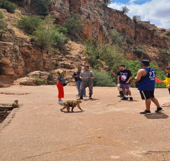 Marrakech: Ouzoud Waterfalls Guided Day Trip With Boat Ride - Good To Know