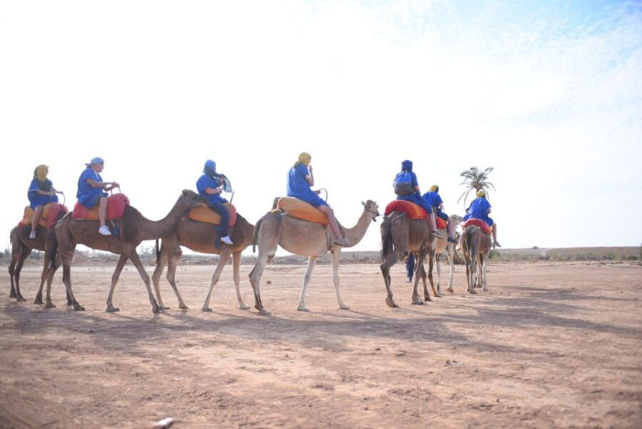 Marrakech: Pack Quad and Camel Ride in the Palm Grove - Good To Know