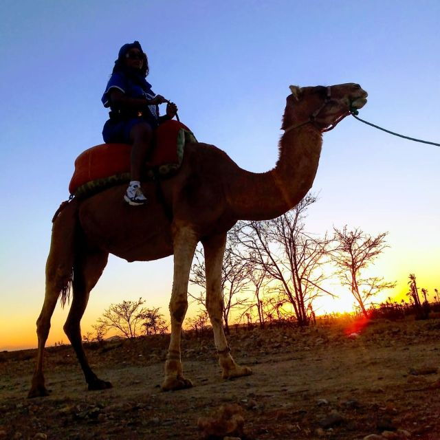 Marrakech: Palmeraie Sunset Camel Ride With Moroccan Tea - Good To Know