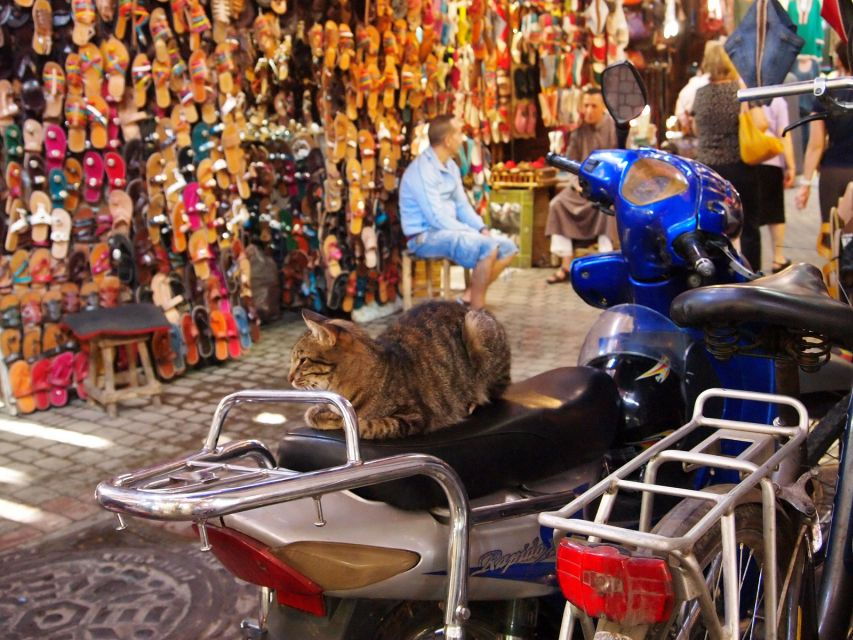 Marrakech Private Tour With a Local Guide - Good To Know