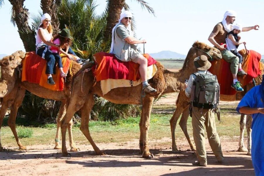 Marrakech: Quad Biking and Camel Ride Berber Villages Tour - Good To Know