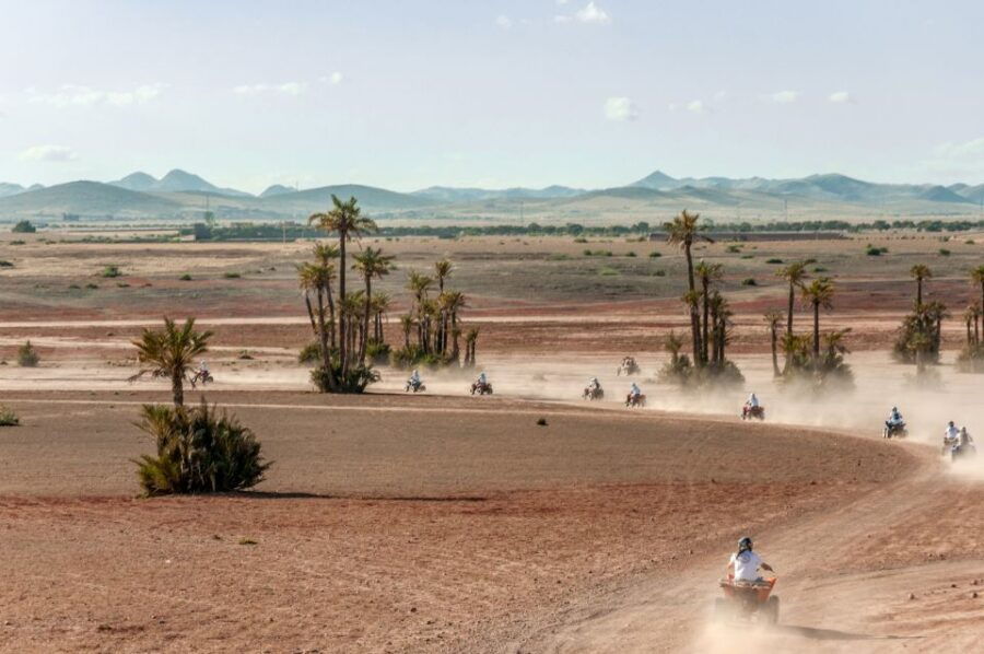 Marrakech: Quadbike in the Desert of Jbilat and Palm Grove - Good To Know
