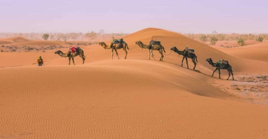 Marrakech To Fes 3 Days Desert Tour