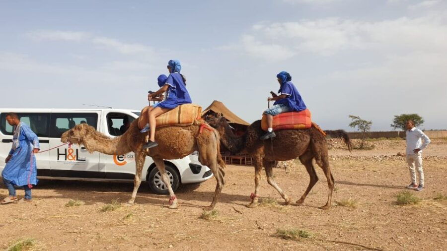 Marrakesh: Agafay Desert Camel Ride and ATV Tour