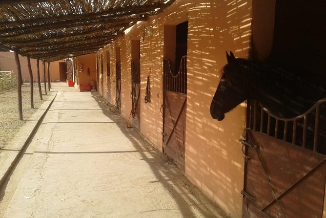 Marrakesh : Day Trip to Ourika Valley - Good To Know