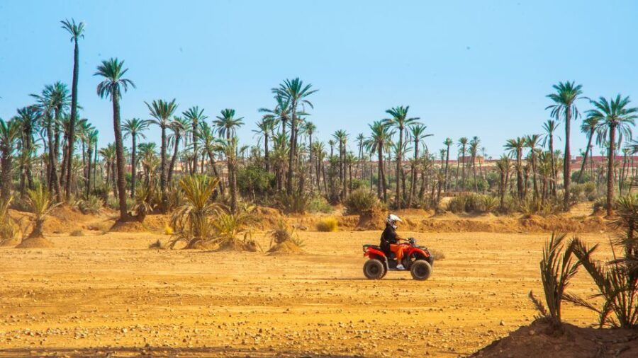 Marrakesh: Palmeraie Quad Bike Tour
