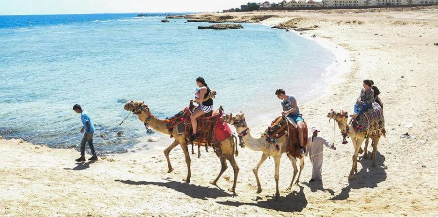 Marsa Alam: Sea and Desert Camel Riding Tour