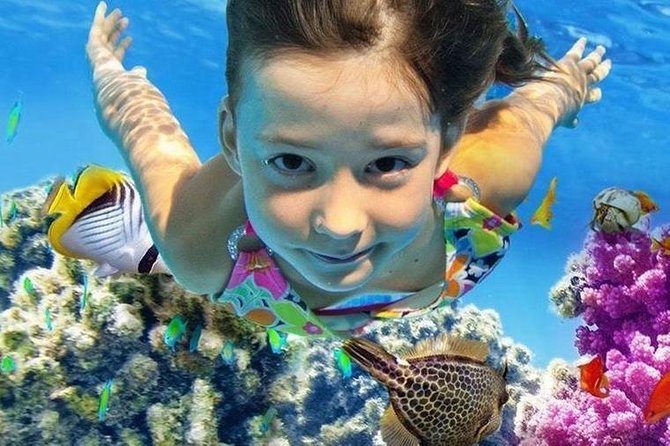 Marsa Alam: Snorkeling at Abu Dabab Beach - Good To Know