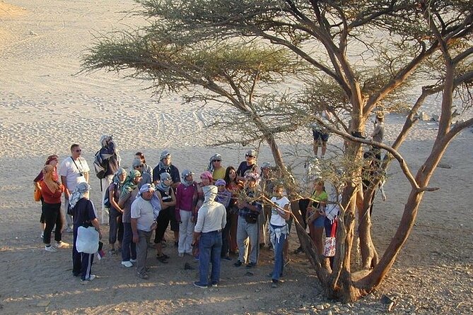 Marsa Alam Super Safari Quad Biking & Bedouin Culture Thrills - Good To Know